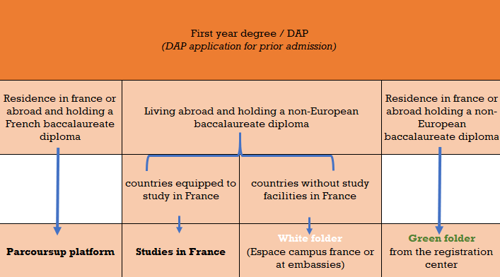 licence 1 tableau