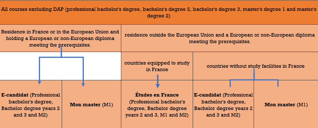 tableau licence et master